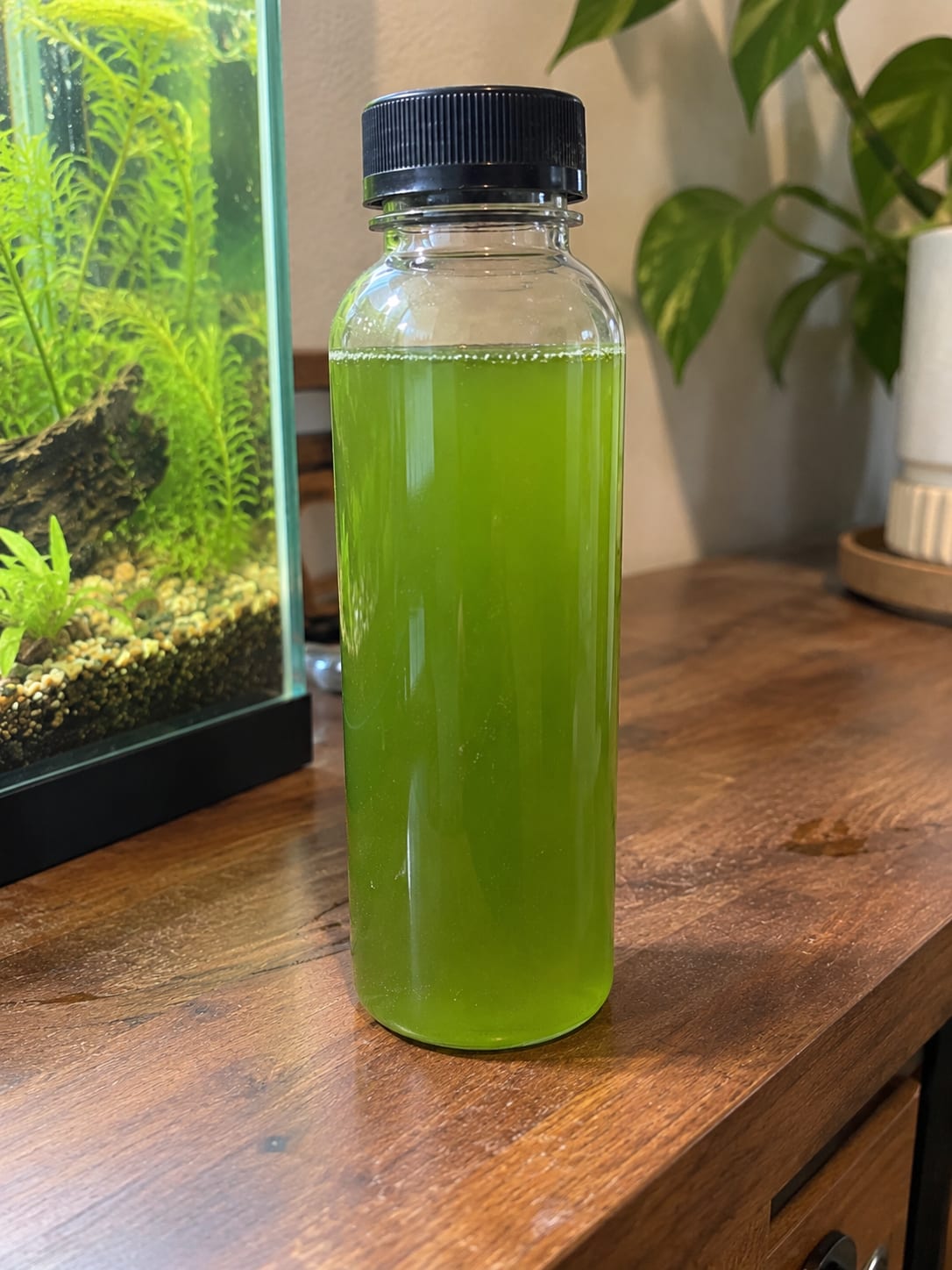 A 10 oz clear bottle of bright green water next to a planted aquarium
